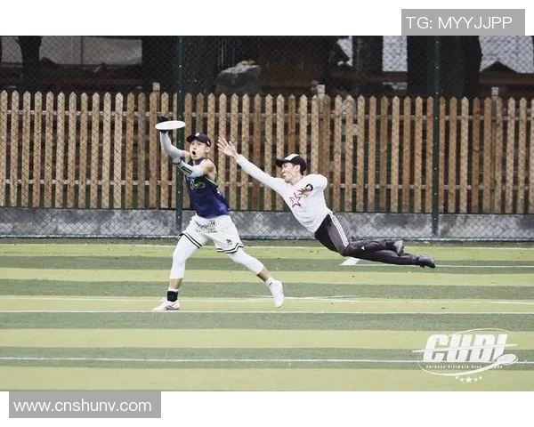 飞盘热潮下的战术博弈北京飞盘队引发的战术争议与思考